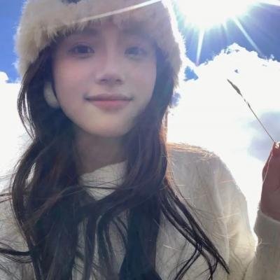 完美拍档2017